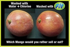 FIT Produce Wash, Organic Fruit & Vegetable, 1 Gallon *MAKES 128 GAL Concentrate