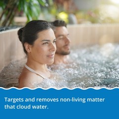 In The Swim – Pure Clear Spa – Clears Water & Eliminates Odors – 2 Liters