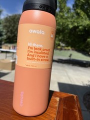 Owala 40oz FreeSip Stainless Steel Water Bottle – Tangy Tango Orange