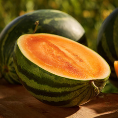 Organic Orange Tendersweet Watermelon Seeds – 15 Citrullus lanatus
