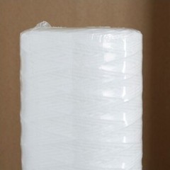 Pentair Single-stage 5-GPM Mechanical Filtration Whole House Water Filtrat..R1W4