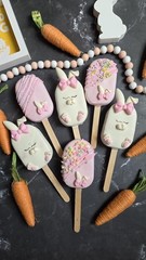 Cakesicle Mold | Medium 2.5in x 1.5in Deluxe Cutter, Popper and Tray Options