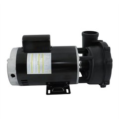 Executive 56-Frame 4HP Dual-Speed Spa Pump, 2in Intake, 2in Discharge