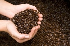 100% Hawaiian / Kona Coffee Beans Medium Roasted 10 Bags 1 Pound Each