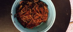Composting Worms / Red Wigglers / Worms are Natures Good Guys / Free Shipping