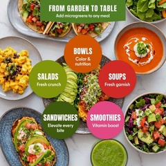 Microgreens & Sprouting Seeds Variety Pack, 10 Varieties, Non-GMO, 12550+ Seeds