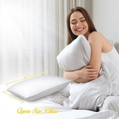 DreamNorth Premium Gel Pillow Loft, Plush Soft Bed Pillow 2 Pack, Queen Size