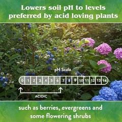 Down to Earth Garden Sulfur All Natural Soil Acidifier Amendment, 5lbs