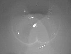 ❤️ NRM 1 Corelle OLD TOWN BLUE 28-oz SOUP CEREAL Super Chili BOWL Navy
