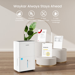 80/ 120/ 150 Pint Energy Star Dehumidifier For Home, Basement & Large Space