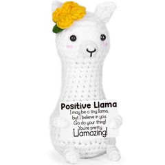 Funny Llama Stuffers Gifts for Kids, Teens, and Adults Birthday, Graduation,