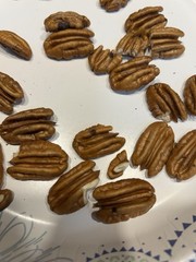 10 Lbs. 2025-2026 Squirrel Grade Pecans In The Shell, Not For Human Consumption