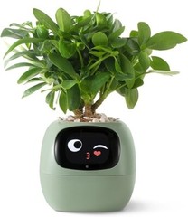 Ai Smart Planter Smart Plant Care Pot Ai Chips 7 Sensors 49 Expressions