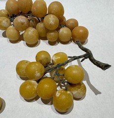 VINTAGE ALABASTER Stone Yellow Grapes clusters lot as shown
