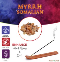 MYRRH Incense Sticks 11″ Bulk Pack Wholesale Hand Dipped Lot