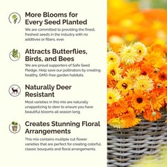 Partial Shade Wildflower Mixed Seeds for Planting, 1/4 lb, 120,000+ Seeds wit…
