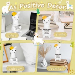 Funny Llama Stuffers Gifts for Kids, Teens, and Adults Birthday, Graduation,