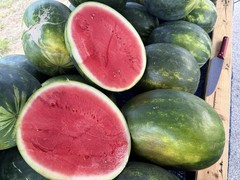 Fresh Watermelon Fresh Fruit from Fresh Food Aisle (Whole)