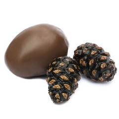 Young Candied Taiga Pine Cones in Milk Chocolate Soft Edible 100g/ 3.53oz