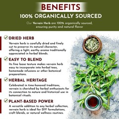 Organic Way Vervain Herb (Verbena officinalis) Cut and Sifted