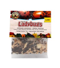NaturesGoodGuys – Live Ladybugs – General predators