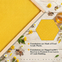 40 Deep Bee Frames with 100% Beeswax Foundations – Unassembled, 40 Pack