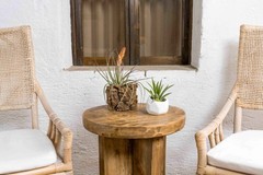 Tillandsia Leonamiana Air Plant – Easy Care Live Indoor Outdoor House Decor