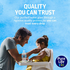 Pure Life Water, 16.9 Fl Oz, 12-Pack Plastic Bottles Free Shipping