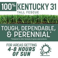 Pennington Kentucky 31 Tall Fescue Grass Seed Sun to Partial Shade 20 lb Bag New