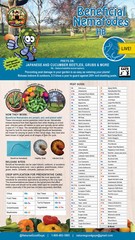5 Million Beneficial Nematodes HB – Targets Beetles, Grubs & More