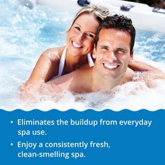 In The Swim – Pure Clear Spa – Clears Water & Eliminates Odors – 2 Liters