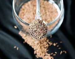 Caraway Seeds – Kosher, Raw, Vegan – by Food To Live