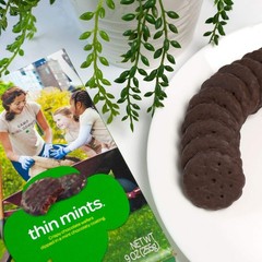 Girl Scouts Thin Mints Cookies – 9oz