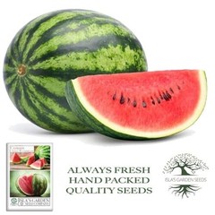 Crimson Sweet Watermelon Seeds (Citrullus lanatus) – 150+ Non-GMO & Heirloom