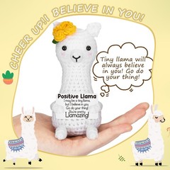 Funny Llama Stuffers Gifts for Kids, Teens, and Adults Birthday, Graduation,