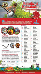 Live Beneficial Nematodes Hb+Sc+Sf – Kills over 200 Different Species of Soil Dw