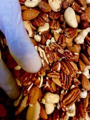 Raw Natural Mixnut Hazelnut Cashew Walnut Almond Pecan 11 oz.to 30 lbs.AgroSun