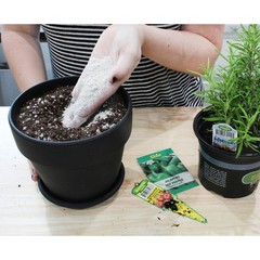 Oyster Flour Soil Conditioner (1qt)