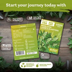 KVITER 1000 Lambs Quarters Seeds (Chenopodium Album)