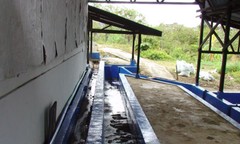 Mexican Oaxaca Coffee Beans Dark Roasted Daily 2 Bags 1 Pound Each