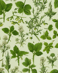 Absinthe Kit Botanic Herb Mix Wormwood Anise Fennel Many More! Potent USA