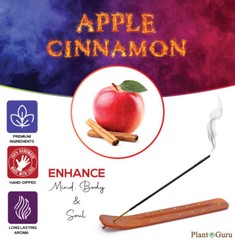 APPLE CINNAMON Incense Sticks 11″ Bulk Pack Wholesale Hand Dipped Lot