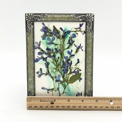 Botanical Art Pressed Blue Flowers In Ornate Metal Frame 6.75 X 4.5 Inch Signed