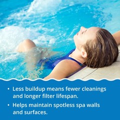 In The Swim – Pure Clear Spa – Clears Water & Eliminates Odors – 2 Liters