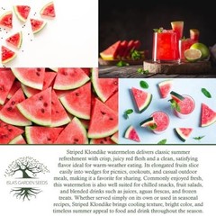 Striped Klondike Blue Ribbon Watermelon Seeds (Citrullus lanatus) – 100+ Non