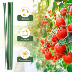 100 Pack 4 Ft/ 48 Inches Garden Plants Stakes Tomato Stakes Steel Metal Plant St