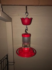 Ant Moat for Hummingbird Feeders, Hummingbird Feeder Ant Guard (1 pack)