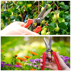Carbon Steel Blade Garden Pruning Shears Multi Purpose Heavy Duty Wire Cable