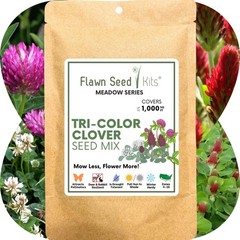 Flawn Seed Kits Tri-Color Clover Seed, Equal Mix 3 Clovers, Flowering Lawn