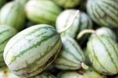 50 DIXIE QUEEN WATERMELON White & Red Citrullus Lanatus Melon Fruit Vine Seeds